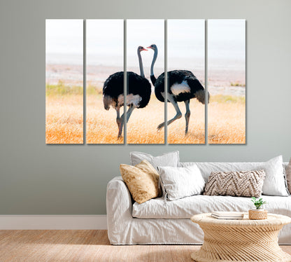 Ostriches Couple in Etosha National Park Namibia Africa Canvas Print-Canvas Print-CetArt-1 Panel-24x16 inches-CetArt