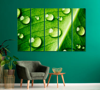 Green Leaf with Water Drops Canvas Print-Canvas Print-CetArt-1 Panel-24x16 inches-CetArt