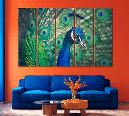 Peacock Canvas Print-Canvas Print-CetArt-1 Panel-24x16 inches-CetArt