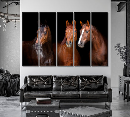 Portrait of Three Graceful Horses Canvas Print-Canvas Print-CetArt-1 Panel-24x16 inches-CetArt