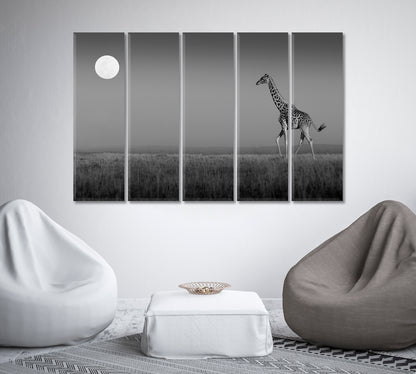 Giraffe in Masai Mara Black and White Canvas Print-Canvas Print-CetArt-1 Panel-24x16 inches-CetArt