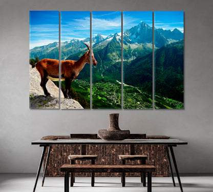 Mountain Goat Looks at Landscape Canvas Print-Canvas Print-CetArt-1 Panel-24x16 inches-CetArt