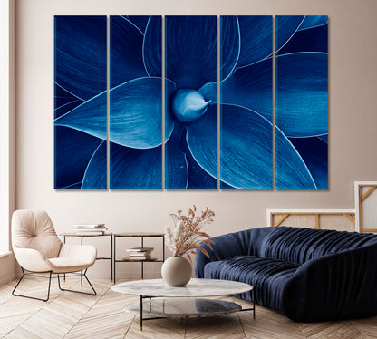 Blue Agave Canvas Print-Canvas Print-CetArt-1 Panel-24x16 inches-CetArt