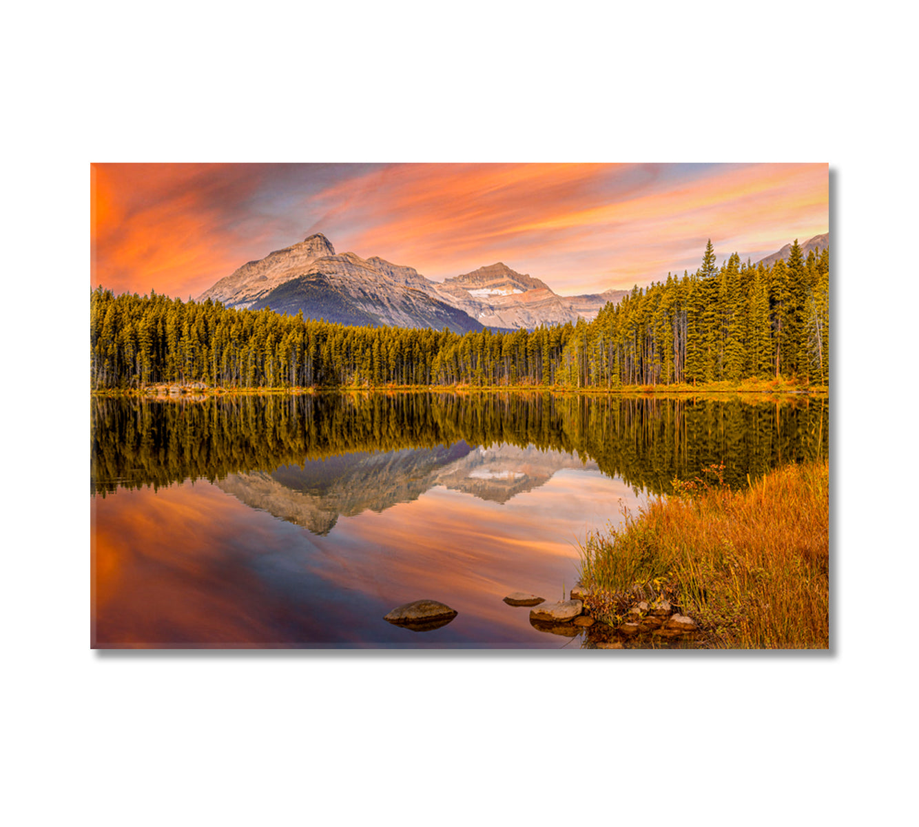 Herbert Lake Jasper National park Alberta Canada Canvas Print-Canvas Print-CetArt-1 Panel-24x16 inches-CetArt