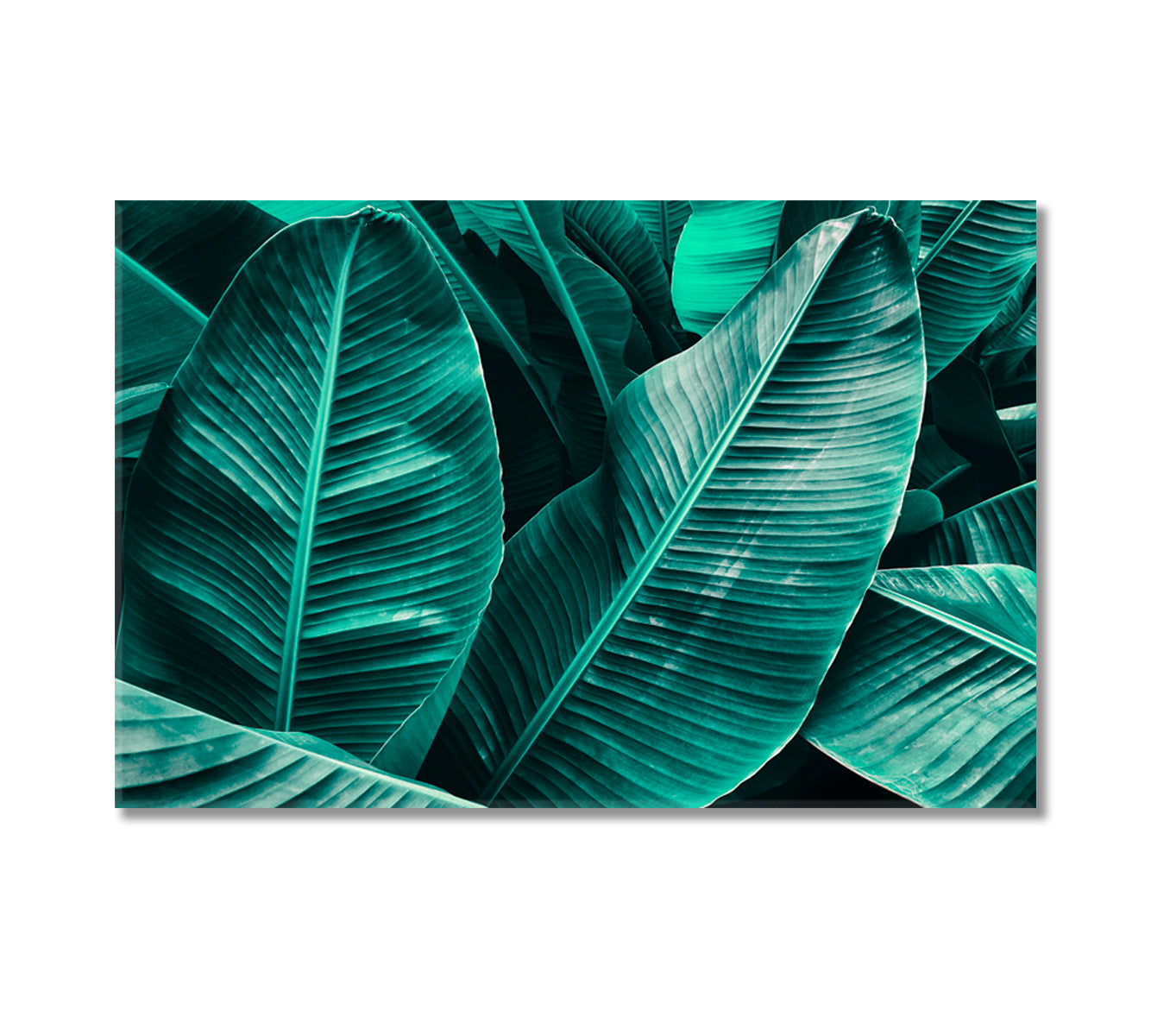 Large Palm Leaves Canvas Print-Canvas Print-CetArt-1 Panel-24x16 inches-CetArt