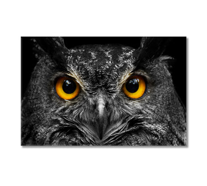 Owl in Black and White Canvas Print-Canvas Print-CetArt-1 Panel-24x16 inches-CetArt