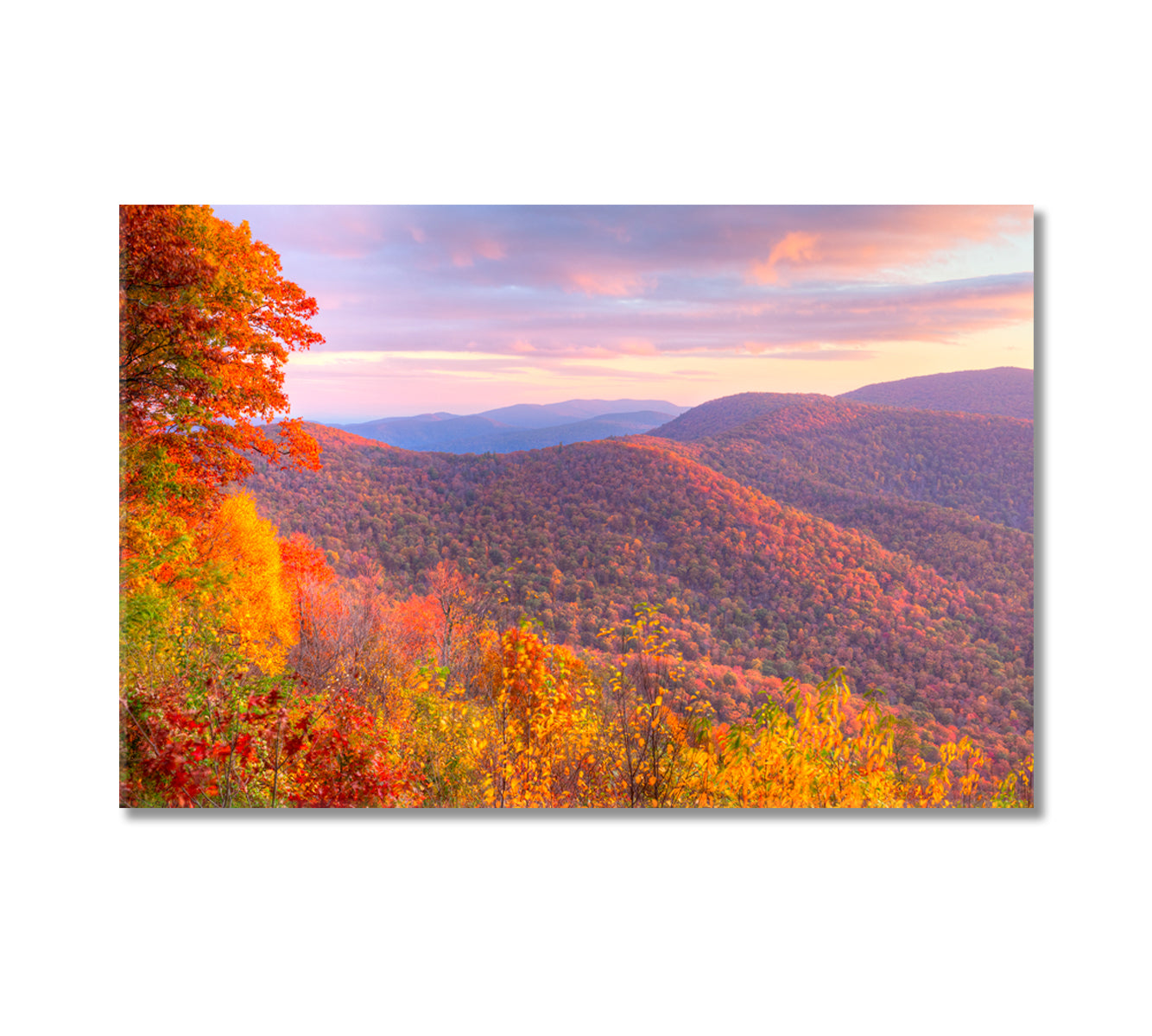 Fall in Shenandoah National Park Canvas Print-Canvas Print-CetArt-1 Panel-24x16 inches-CetArt