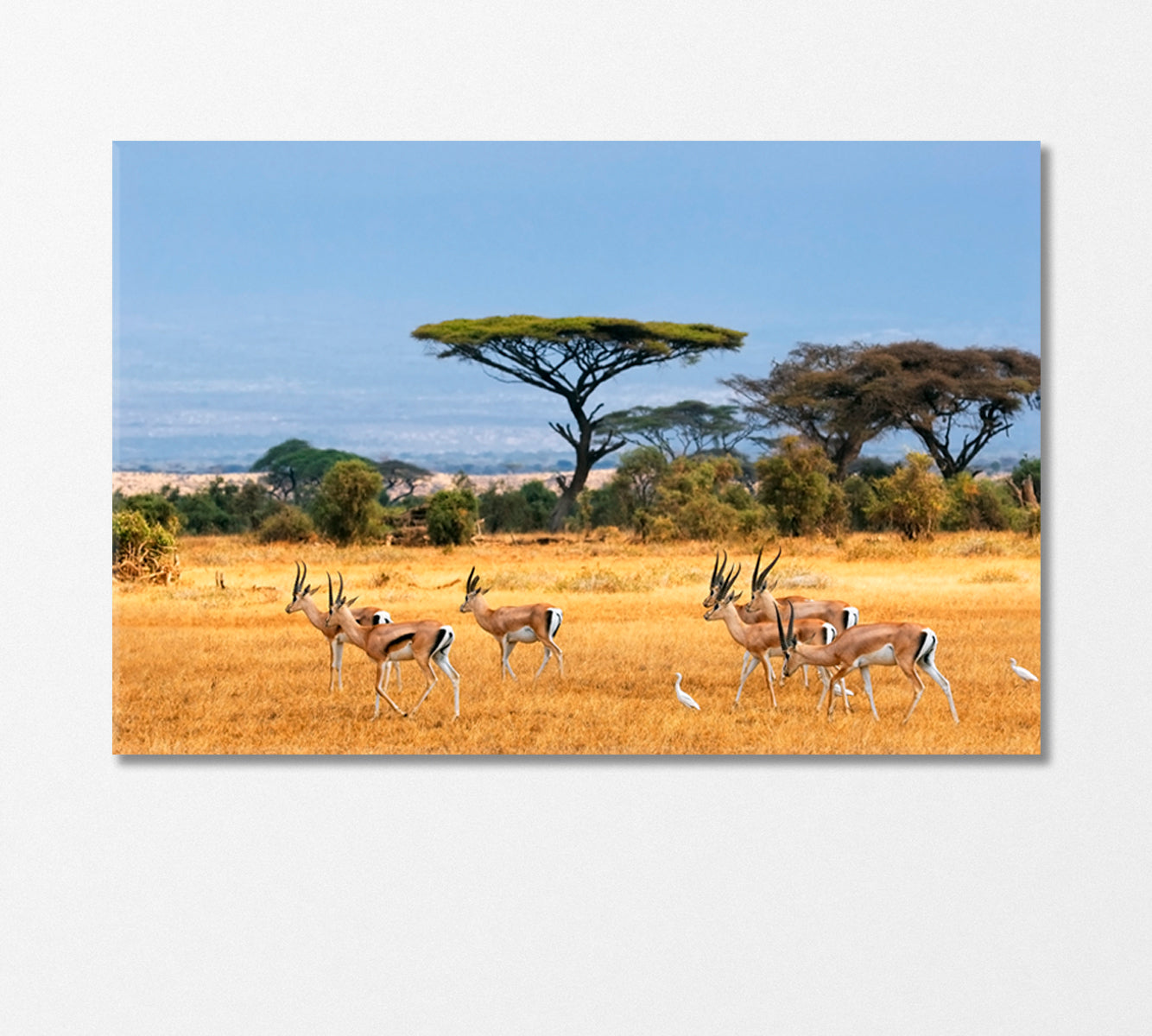 African Landscape with Gazelles Kenya Canvas Print-Canvas Print-CetArt-1 Panel-24x16 inches-CetArt