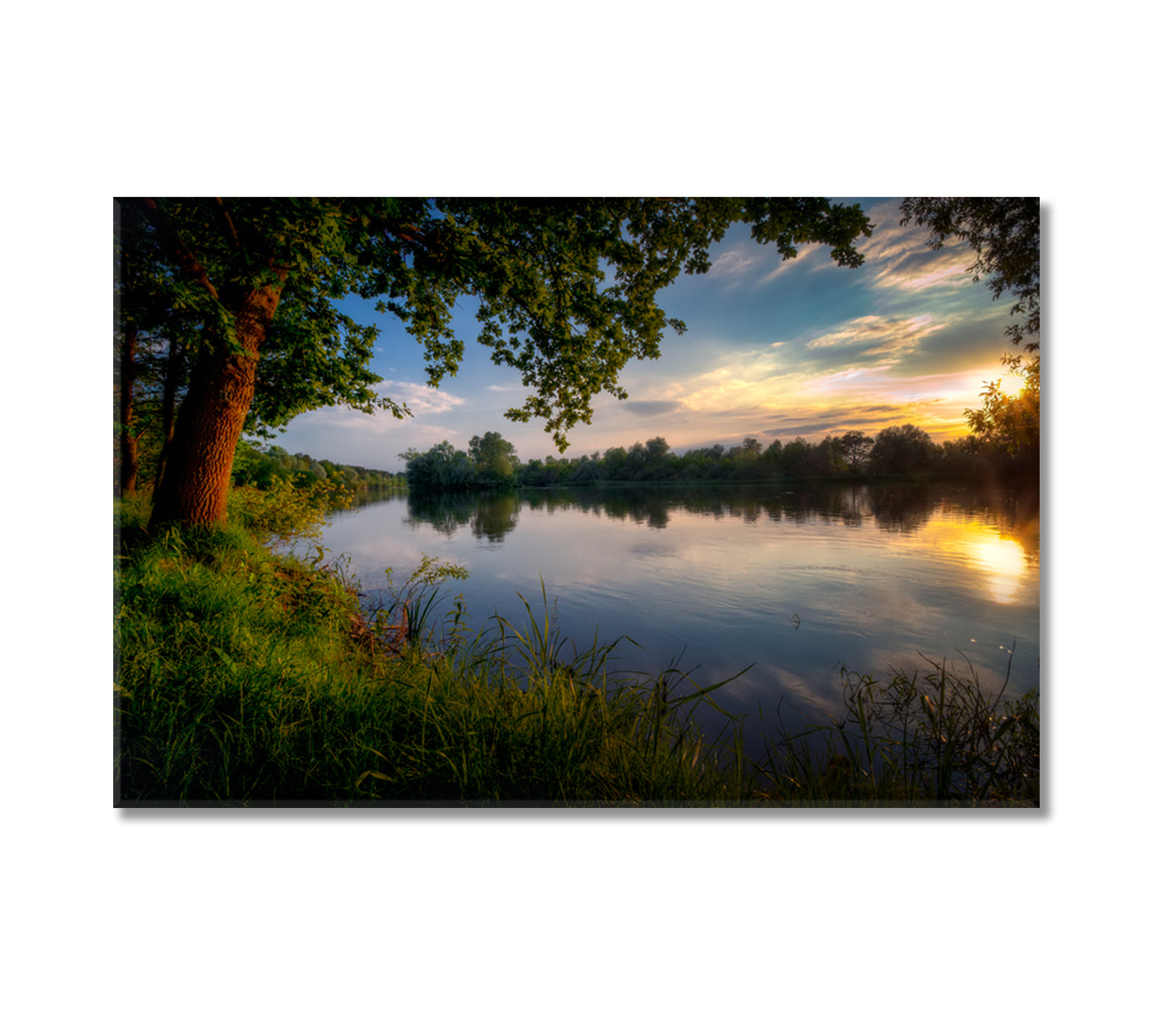 Narew River with Oaks in Poland Canvas Print-Canvas Print-CetArt-1 Panel-24x16 inches-CetArt