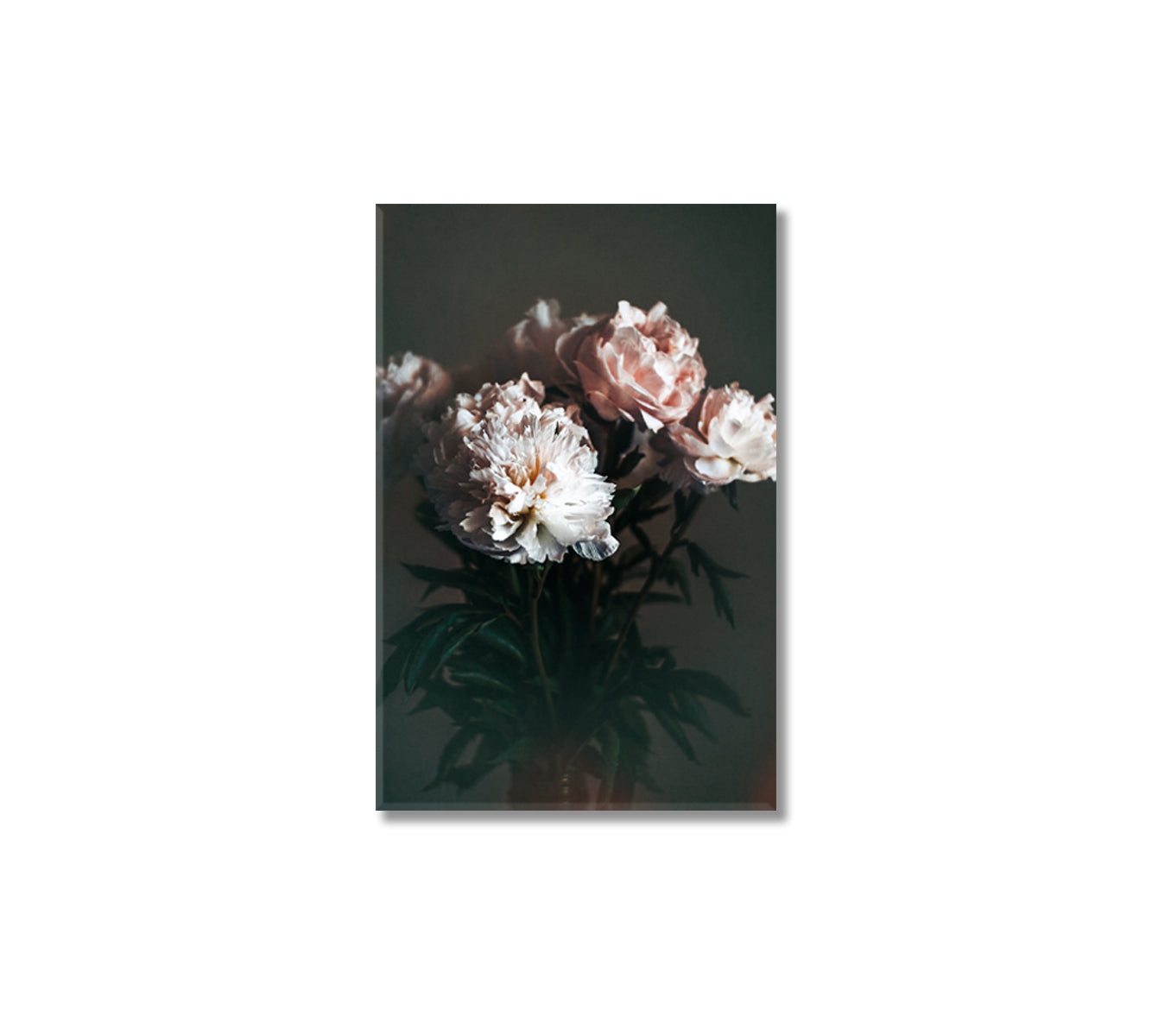 Peonies Canvas Print-Canvas Print-CetArt-1 panel-16x24 inches-CetArt