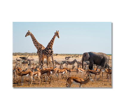 Wild Animals Around Waterhole in Etosha National Park Namibia Africa Canvas Print-Canvas Print-CetArt-1 Panel-24x16 inches-CetArt