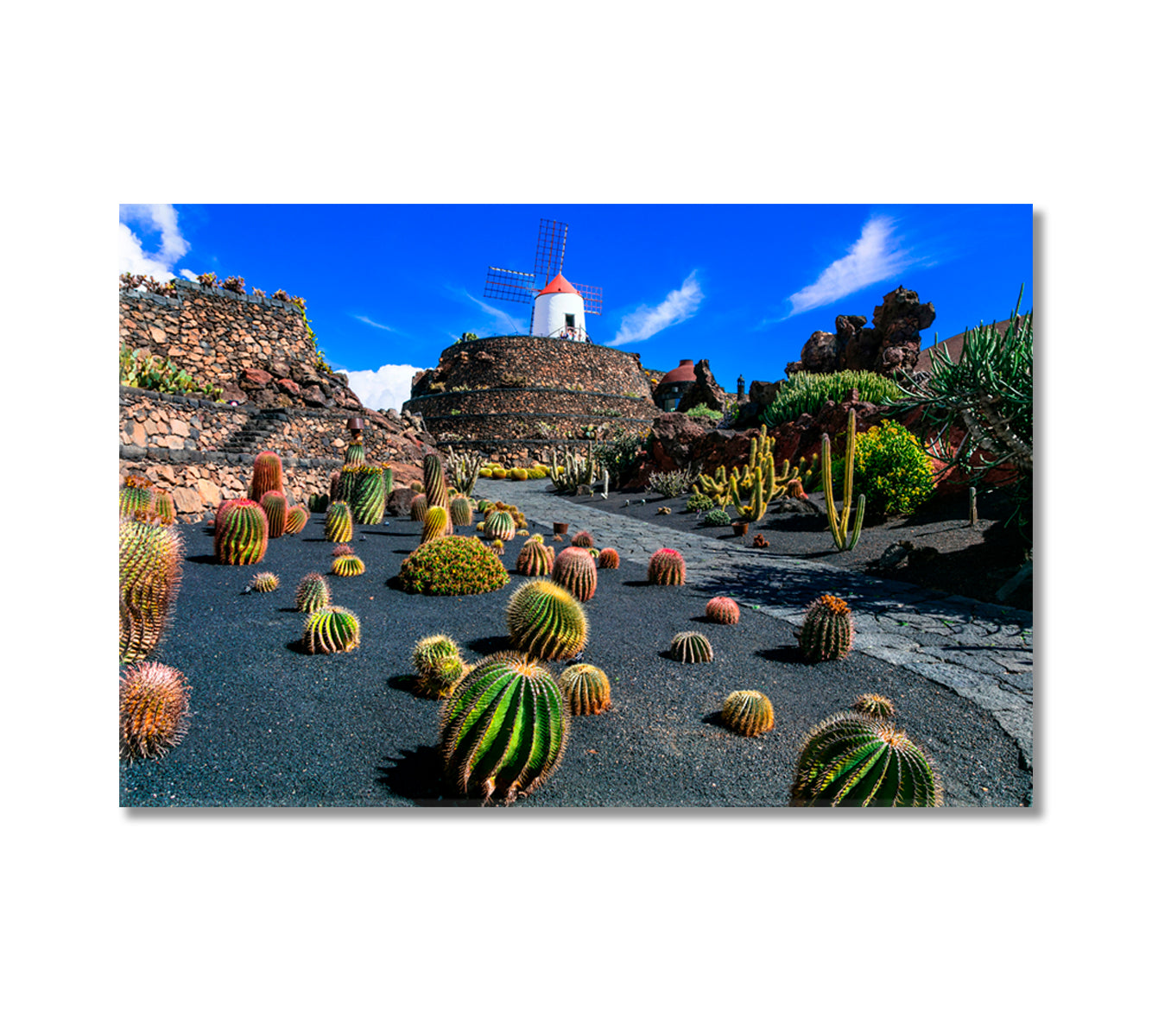 Lanzarote Island Botanical Cactus Garden Canary Islands Canvas Print-Canvas Print-CetArt-1 Panel-24x16 inches-CetArt