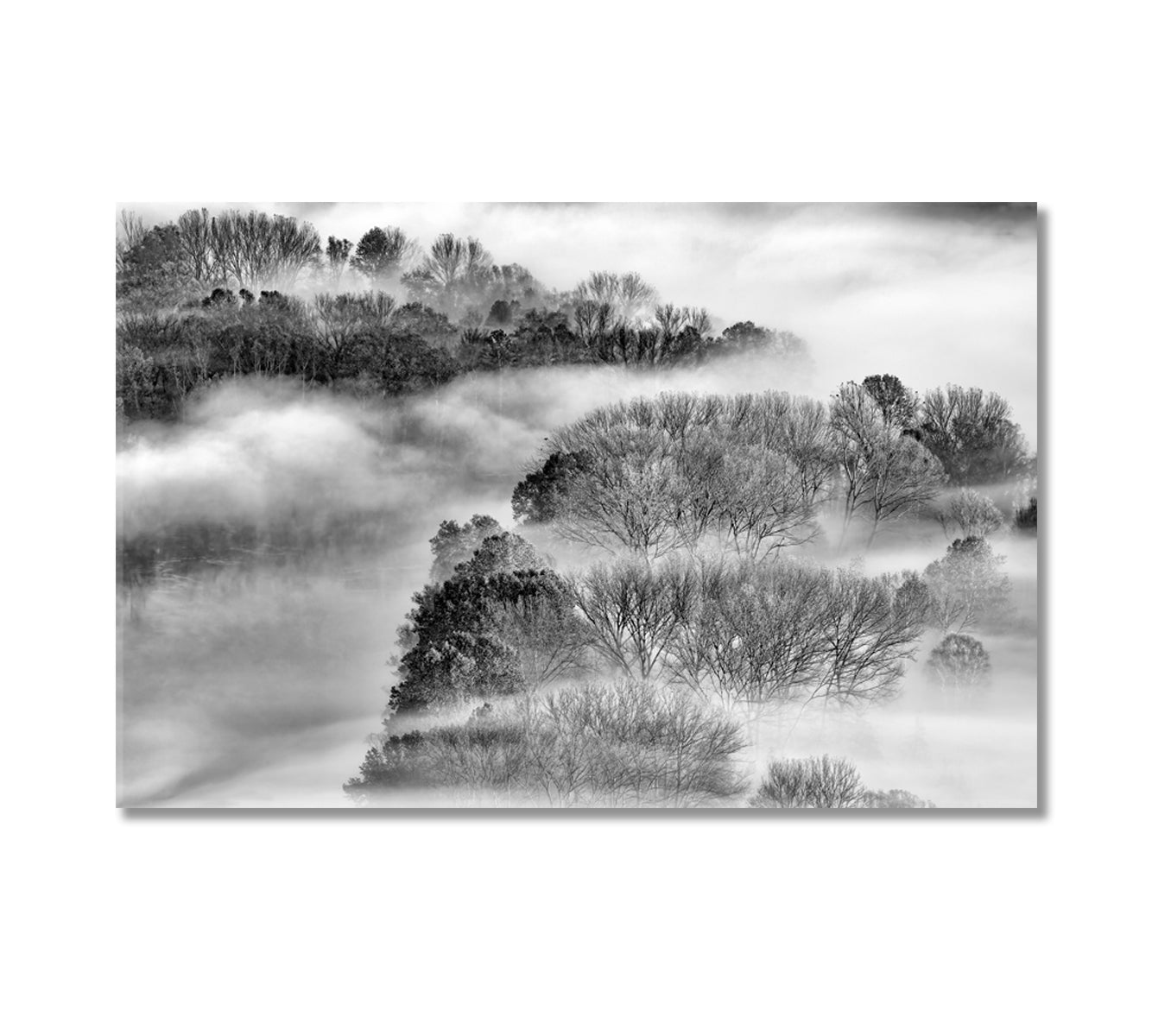 Foggy Forest Canvas Print-Canvas Print-CetArt-1 Panel-24x16 inches-CetArt