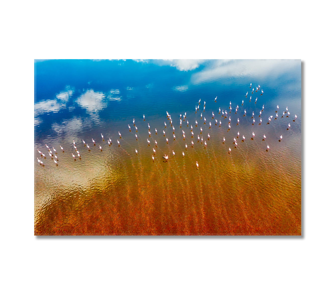 Pink Maharlu Lake Iran Canvas Print-Canvas Print-CetArt-1 Panel-24x16 inches-CetArt