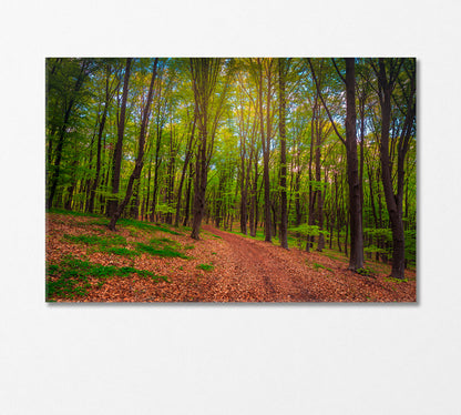 Spring Forest Landscape Canvas Print-Canvas Print-CetArt-1 Panel-24x16 inches-CetArt