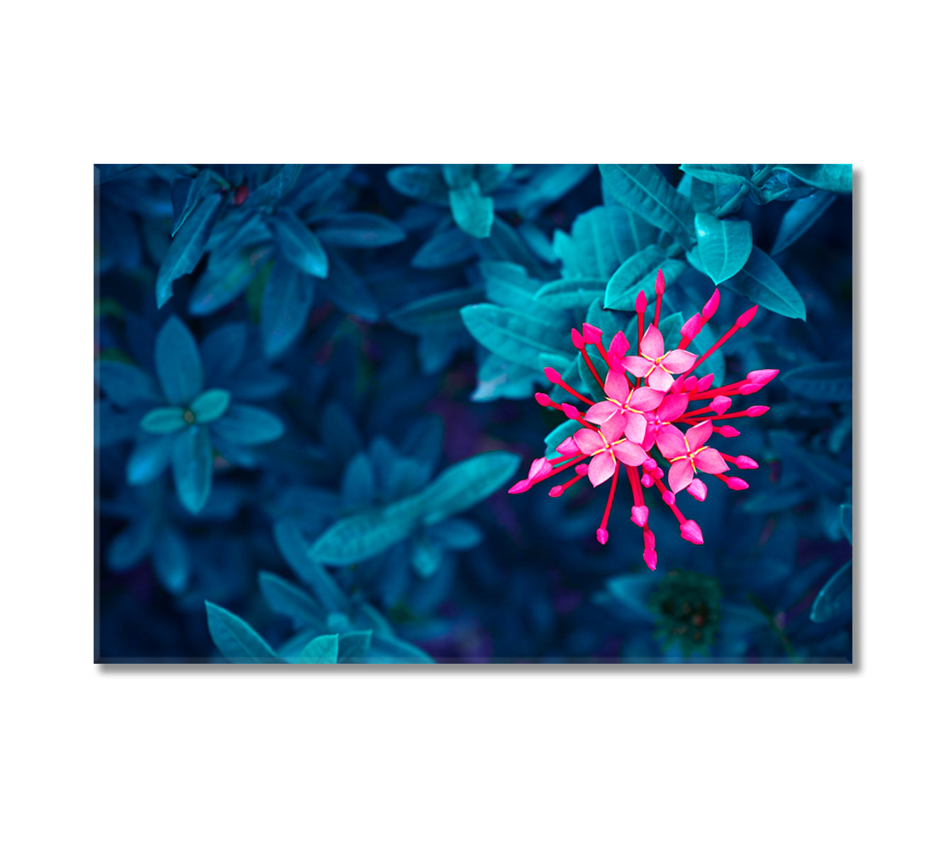 Beautiful Leaves with Pink Flowers Canvas Print-Canvas Print-CetArt-1 Panel-24x16 inches-CetArt