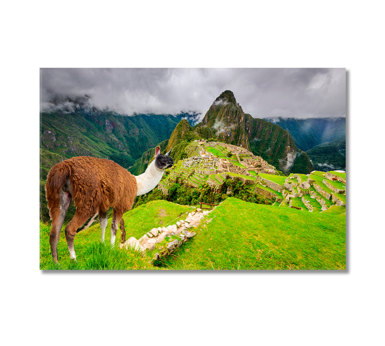 Machu Picchu Ruins of Inca Empire City Peru Canvas Print-Canvas Print-CetArt-1 Panel-24x16 inches-CetArt