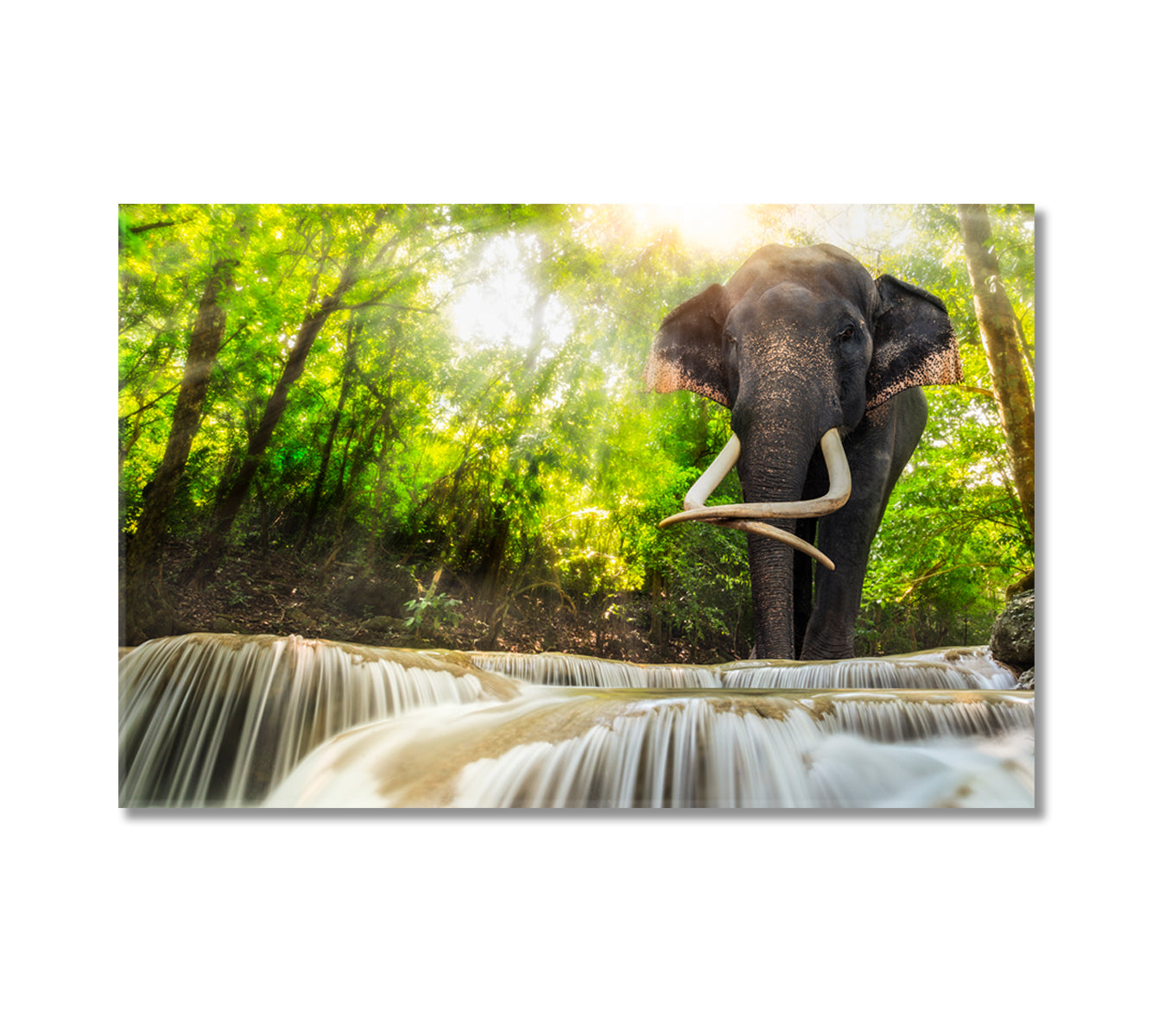 Erawan Waterfall with Elephant Thailand Canvas Print-Canvas Print-CetArt-1 Panel-24x16 inches-CetArt