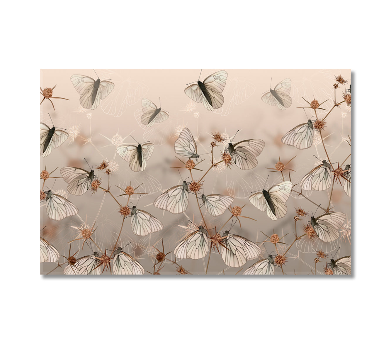 Butterflies Canvas Print-Canvas Print-CetArt-1 Panel-24x16 inches-CetArt