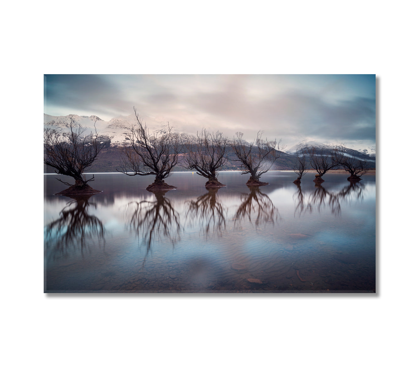 The Willow Trees of Glenorchy New Zealand Canvas Print-Canvas Print-CetArt-1 Panel-24x16 inches-CetArt