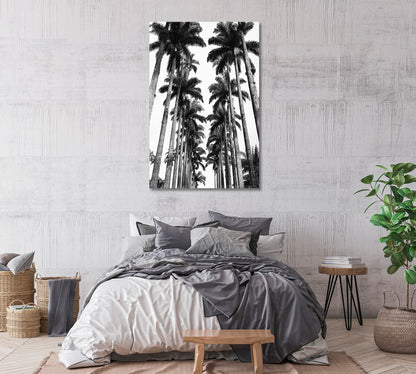 Palm Trees Avenue Rio de Janeiro Botanical Garden Canvas Print-Canvas Print-CetArt-1 panel-16x24 inches-CetArt