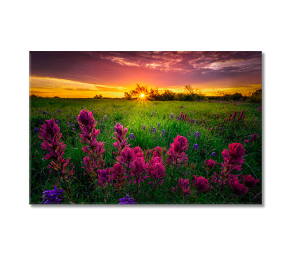 Texas Indian Paintbrush with Bluebonnets Canvas Print-Canvas Print-CetArt-1 Panel-24x16 inches-CetArt