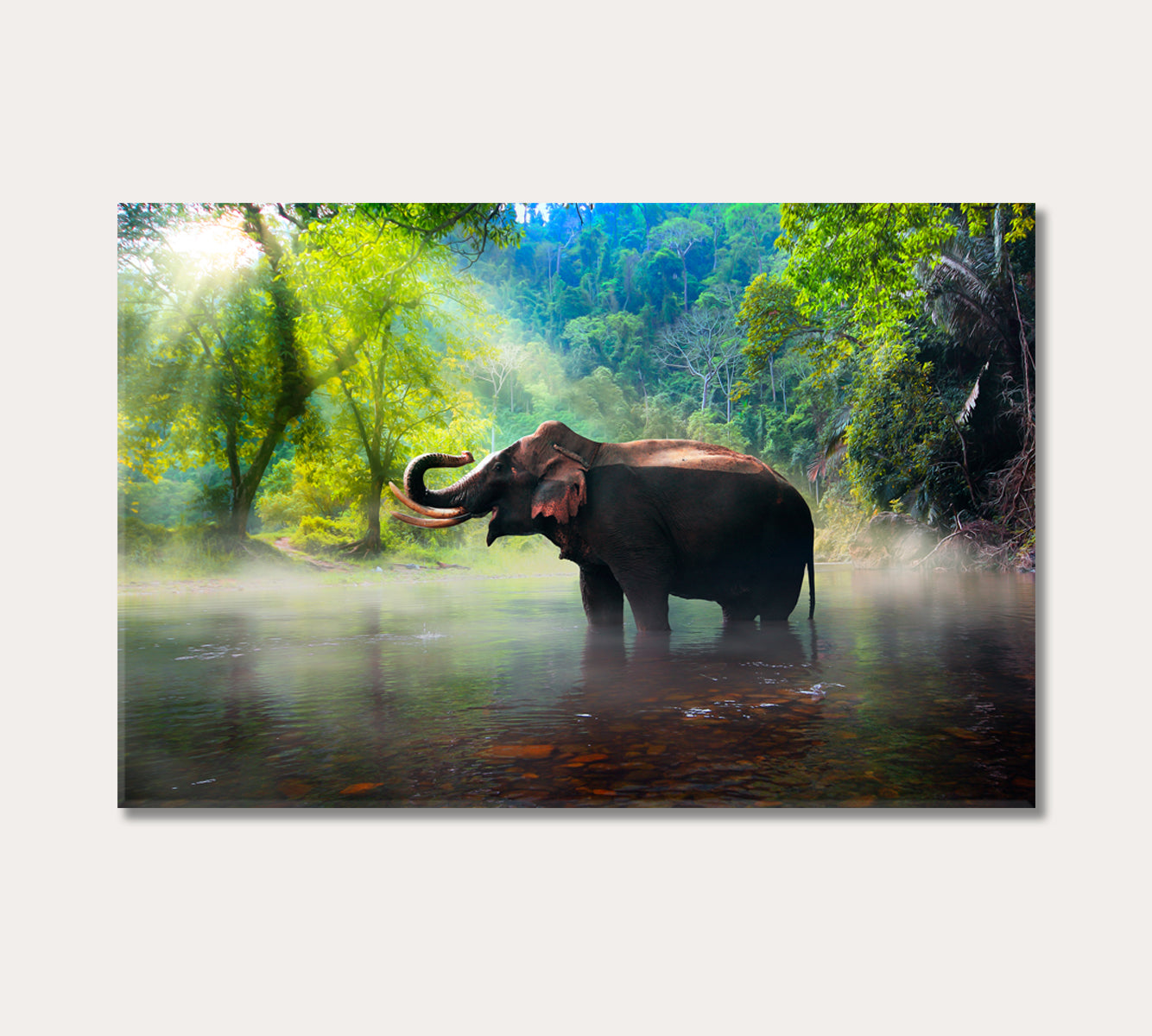 Elephant in Kanchanaburi Forest Thailand Canvas Print-Canvas Print-CetArt-1 Panel-24x16 inches-CetArt