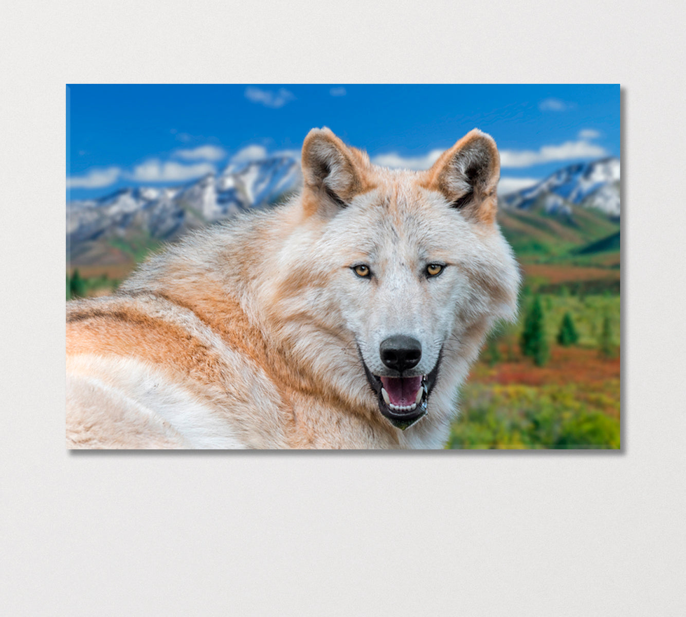 Northwestern Wolf Canvas Print-Canvas Print-CetArt-1 Panel-24x16 inches-CetArt