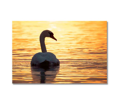 Swan on Lake at Golden Sunset Canvas Print-Canvas Print-CetArt-1 Panel-24x16 inches-CetArt