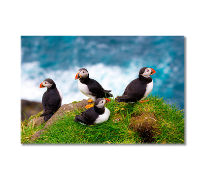 Puffins of Faroe Islands Denmark Canvas Print-Canvas Print-CetArt-1 Panel-24x16 inches-CetArt