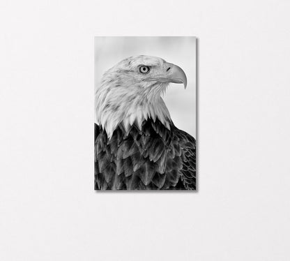 Portrait of Bald Eagle in Black and White Canvas Print-Canvas Print-CetArt-1 panel-16x24 inches-CetArt