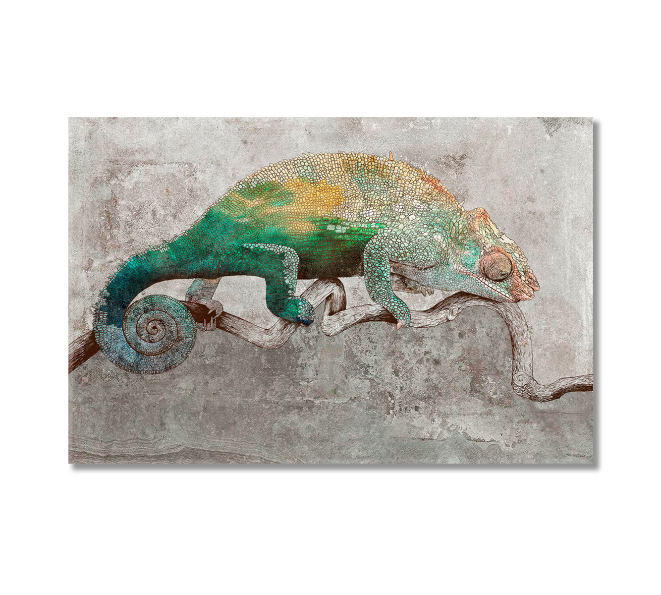 Chameleon Canvas Print-Canvas Print-CetArt-1 Panel-24x16 inches-CetArt