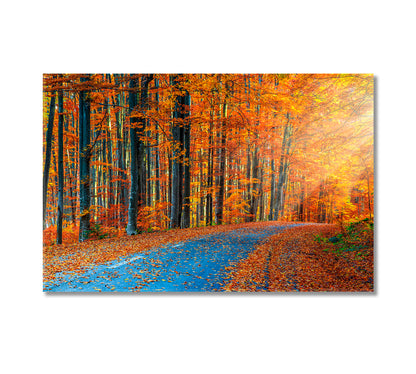 Majestic Autumn Forest Canvas Print-Canvas Print-CetArt-1 Panel-24x16 inches-CetArt