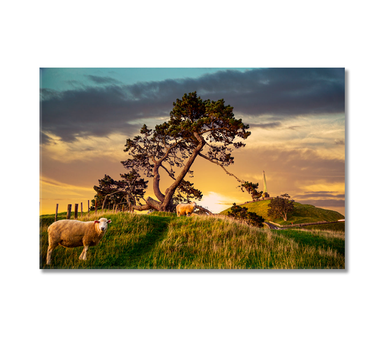 One Tree Hill in Auckland New Zealand Canvas Print-Canvas Print-CetArt-1 Panel-24x16 inches-CetArt