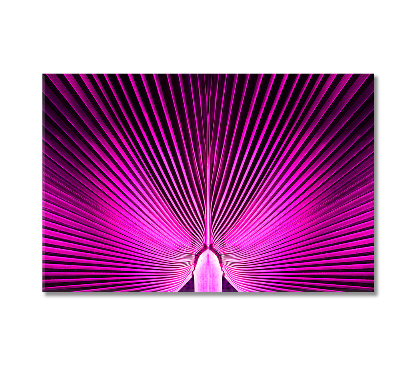 Abstract Purple Palm Leaves Canvas Print-Canvas Print-CetArt-1 Panel-24x16 inches-CetArt