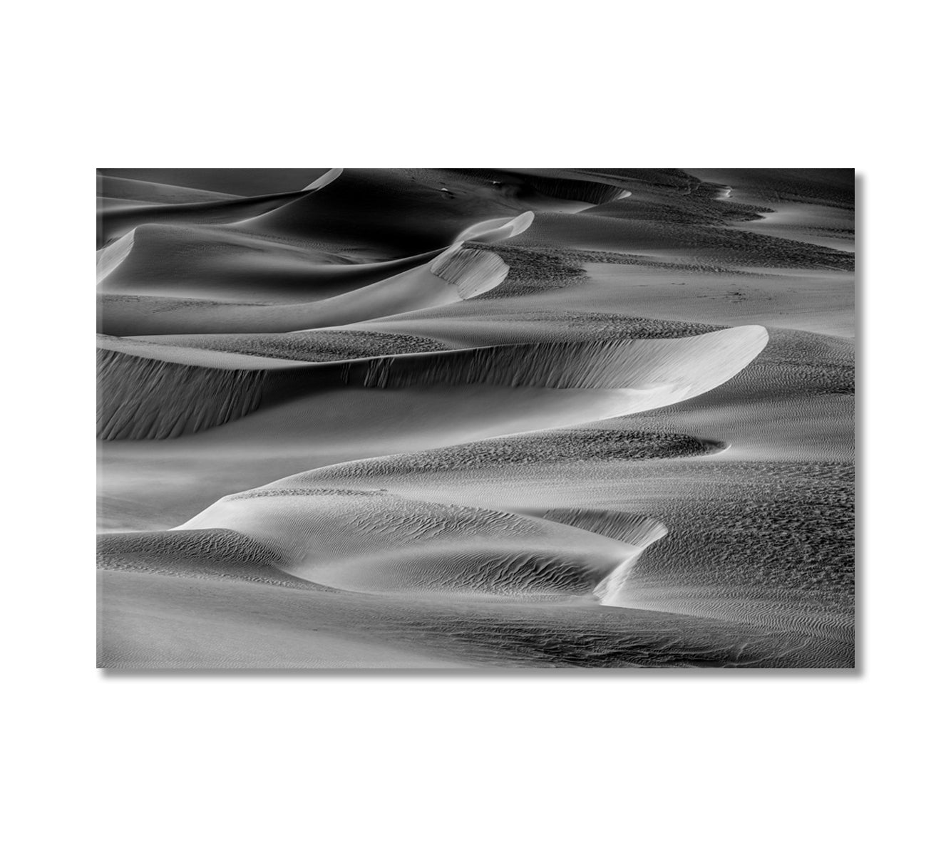 Desert in Black and White Canvas Print-Canvas Print-CetArt-1 Panel-24x16 inches-CetArt