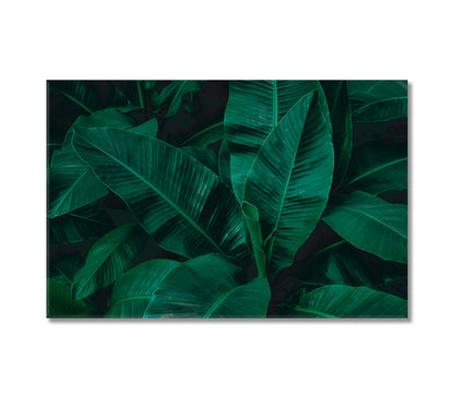 Abstract Tropical Banana Leaf Canvas Print-Canvas Print-CetArt-1 Panel-24x16 inches-CetArt