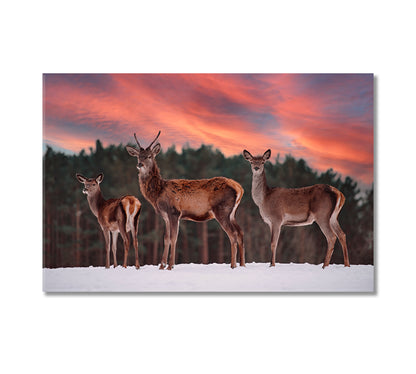 Deer in Winter Forest Canvas Print-Canvas Print-CetArt-1 Panel-24x16 inches-CetArt