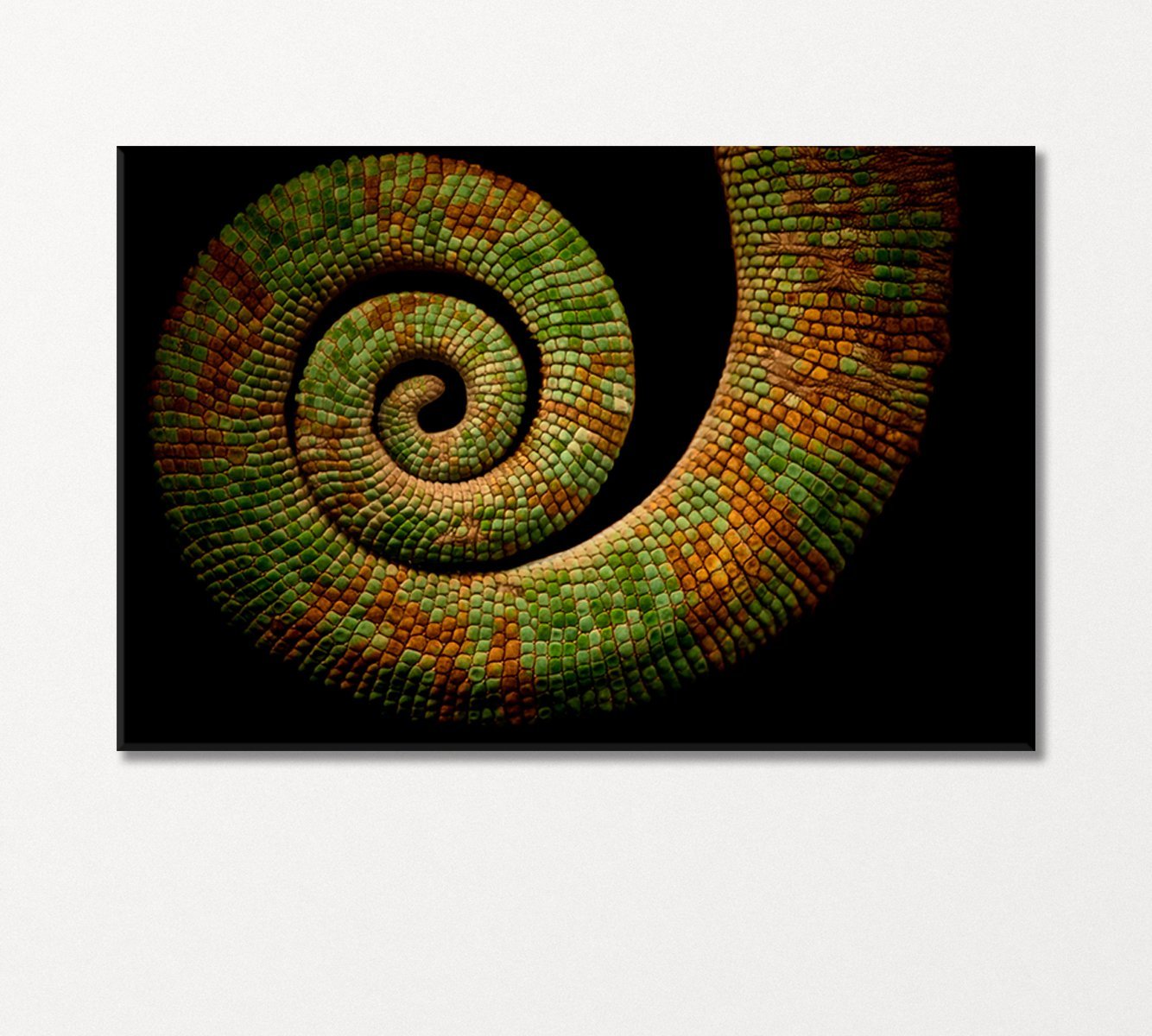 Chameleon Tail Canvas Print-Canvas Print-CetArt-1 Panel-24x16 inches-CetArt