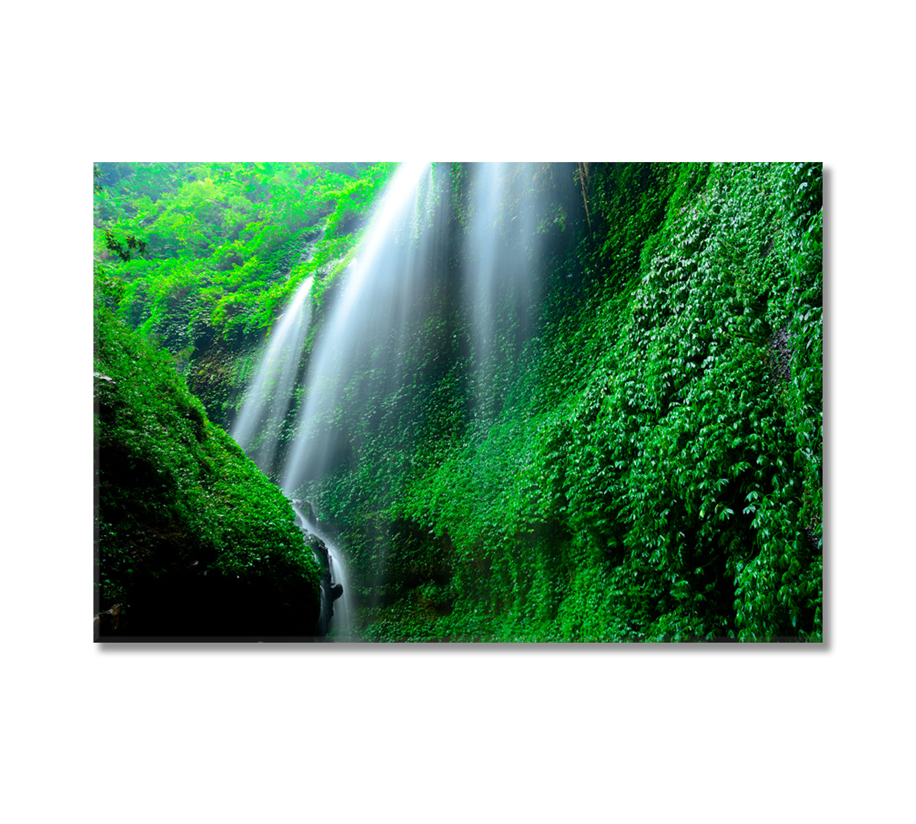 Madakaripura Waterfall Deep Forest Waterfall Java Indonesia Canvas Print-Canvas Print-CetArt-1 Panel-24x16 inches-CetArt