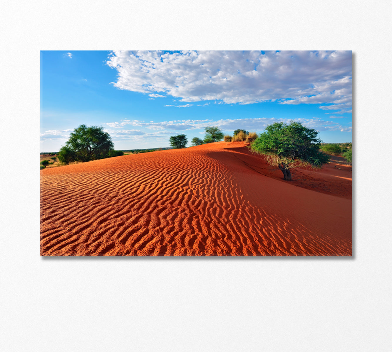 Big Red Dune with Sand Waves Canvas Print-Canvas Print-CetArt-1 Panel-24x16 inches-CetArt