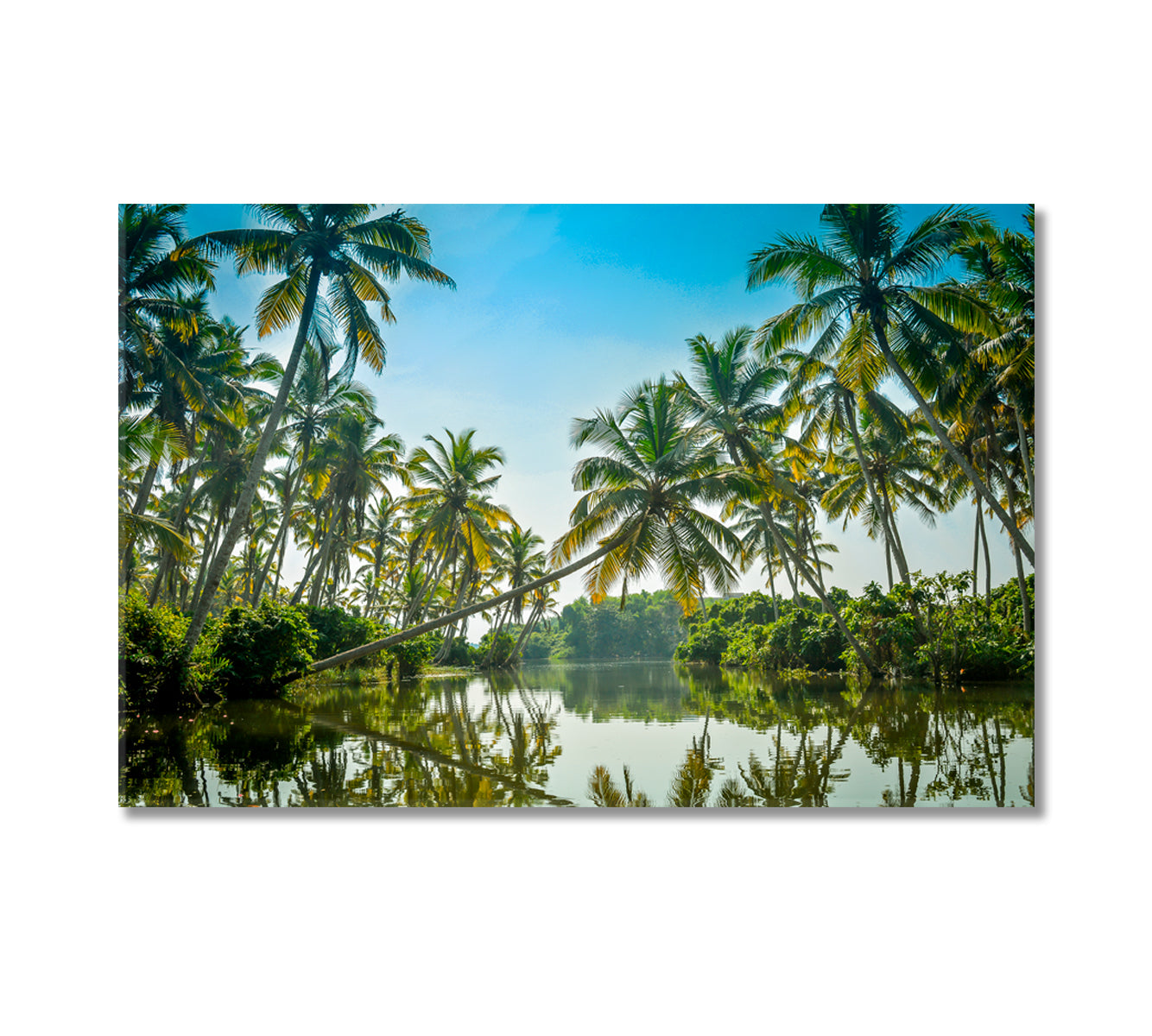 Kerala Poovar Island with Palm Trees Canvas Print-Canvas Print-CetArt-1 Panel-24x16 inches-CetArt