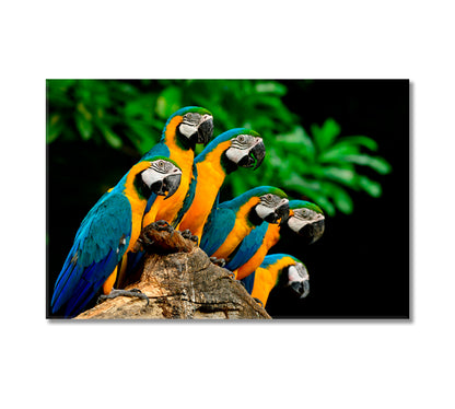 Blue and Yellow Parrots Canvas Print-Canvas Print-CetArt-1 Panel-24x16 inches-CetArt