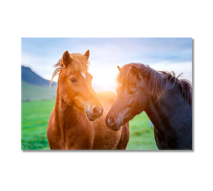 Icelandic Horses Canvas Print-Canvas Print-CetArt-1 Panel-24x16 inches-CetArt