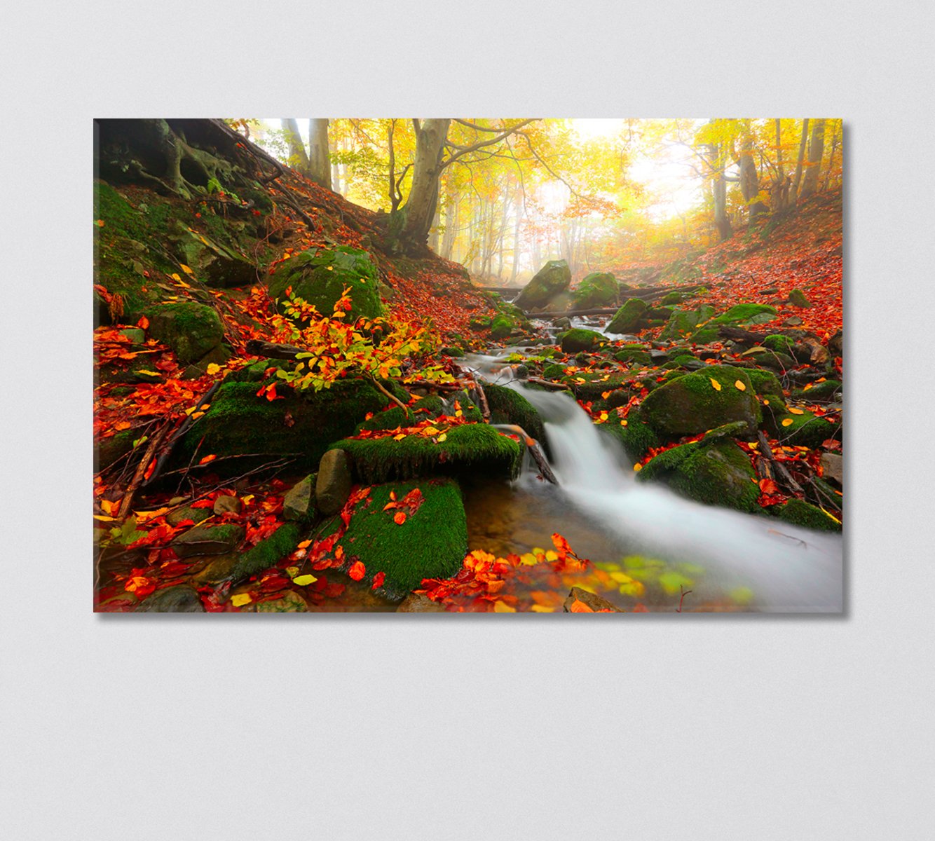 Autumn Forest Landscape with Stream Canvas Print-Canvas Print-CetArt-1 Panel-24x16 inches-CetArt