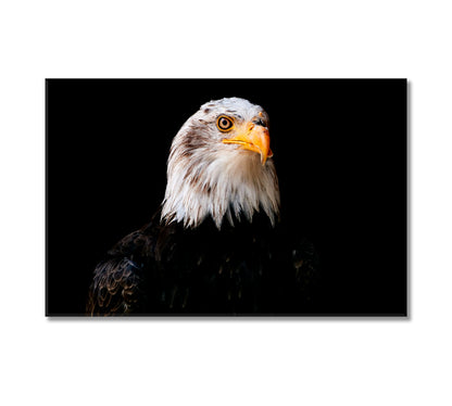 Powerful Bird Bald Eagle Canvas Print-Canvas Print-CetArt-1 Panel-24x16 inches-CetArt