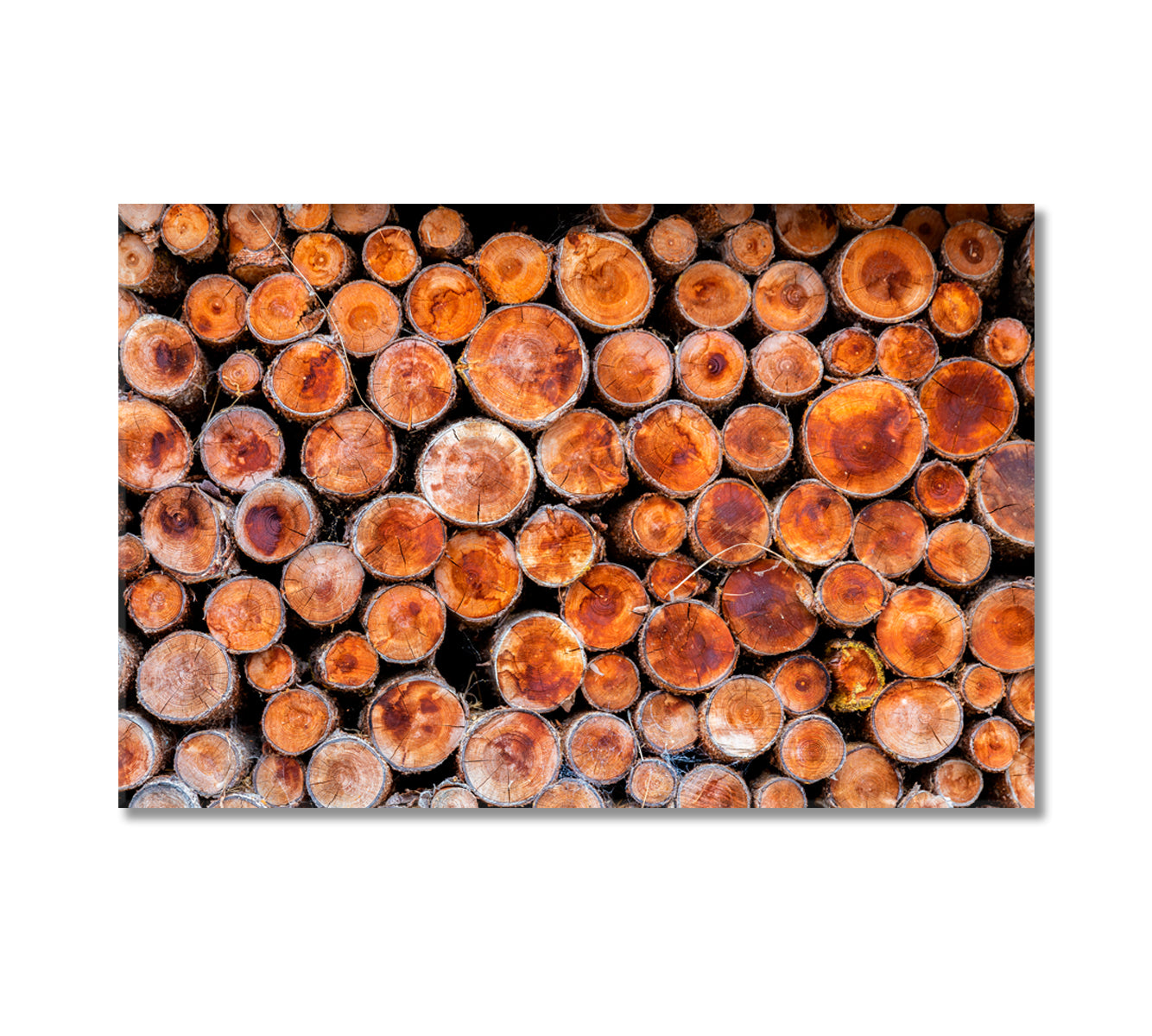 Wood Logs Canvas Print-Canvas Print-CetArt-1 Panel-24x16 inches-CetArt