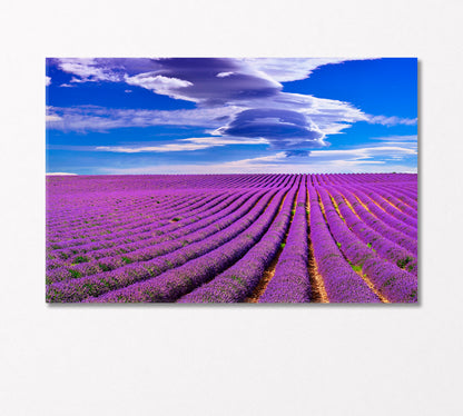 Lavender Field in France Canvas Print-Canvas Print-CetArt-1 Panel-24x16 inches-CetArt