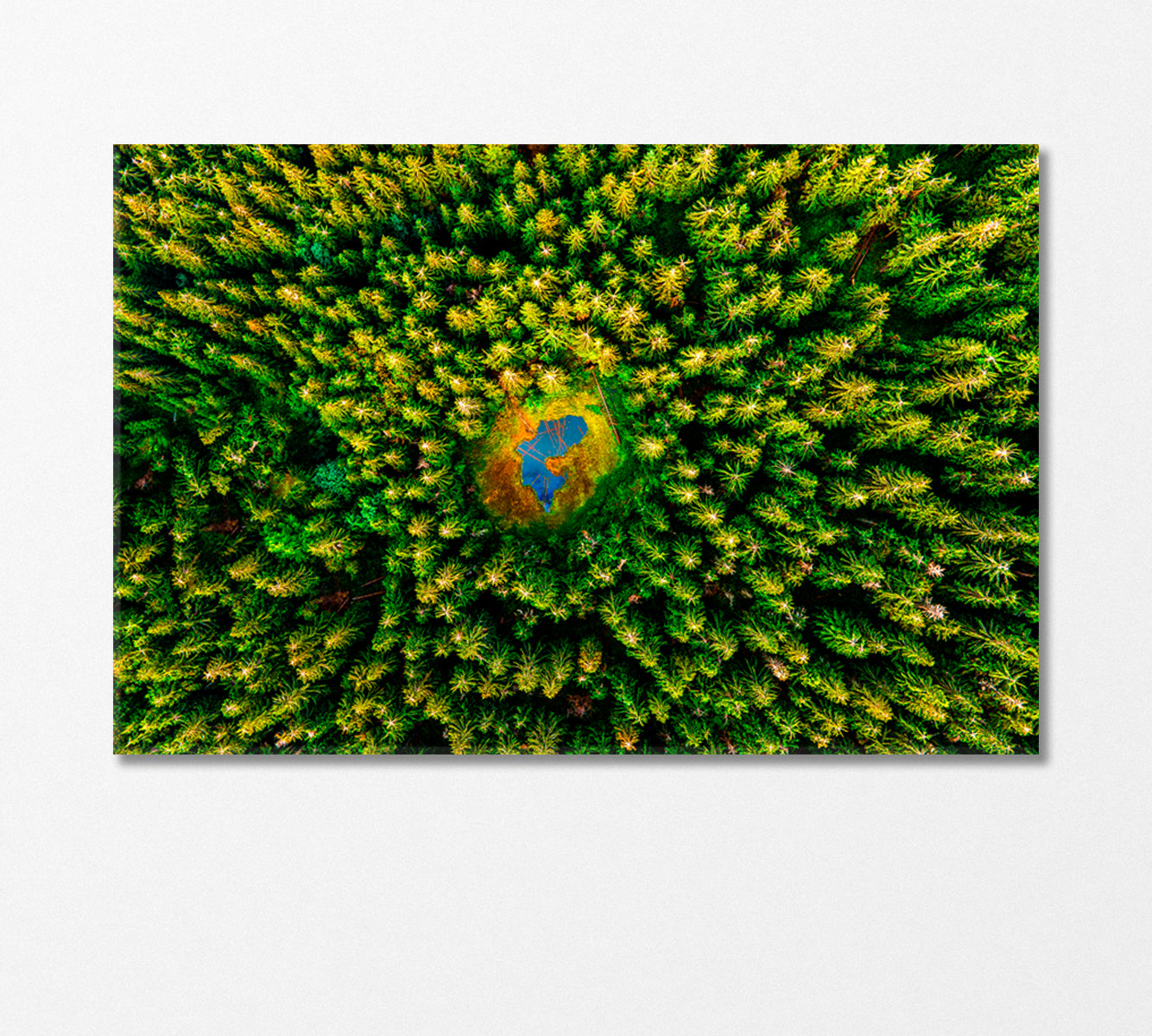 Top View of Lake in Middle of Forest Canvas Print-Canvas Print-CetArt-1 Panel-24x16 inches-CetArt