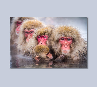 Family of Monkeys Swimming in River Canvas Print-Canvas Print-CetArt-1 Panel-24x16 inches-CetArt